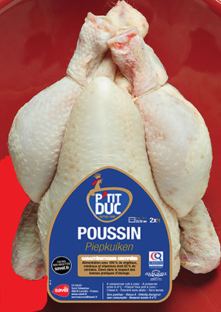P'tit Duc - Poussin